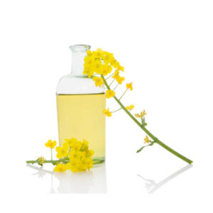 Rapeseed-Oil